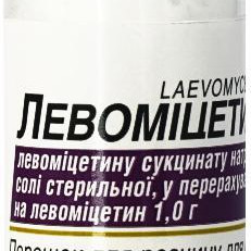 Левомицетин порошок для раствора для инъекций в флаконе по 1 г