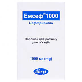 Емсеф пор. д/ін.1000мг фл.№1
