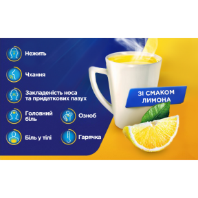 Терафлю порошок від грипу та застуди зі смаком лимона, 10 шт.