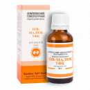 Іов-малюк Барбарис Комп гранули, 20 г