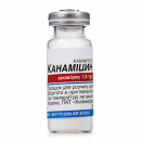 Канаміцин порошок для розчину для ін'єкцій у флаконі по 1 г