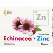 Ехінацея + Цинк капсули для підтримки імунної системи, 30 шт.